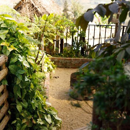 Sapa Plum Eco House Hotel Ngoại thất bức ảnh