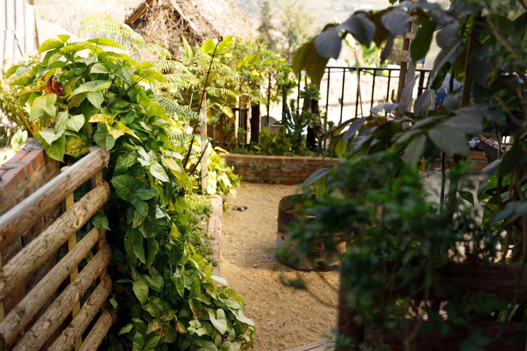 Sapa Plum Eco House Hotel Ngoại thất bức ảnh